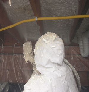 Winnipeg MB crawl space insulation